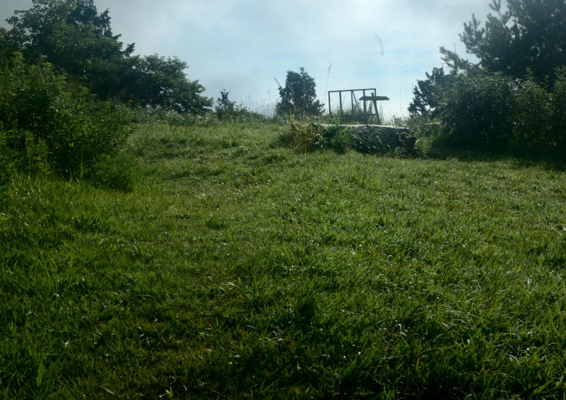 05