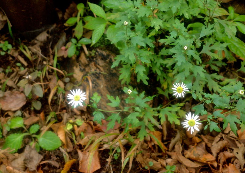 05