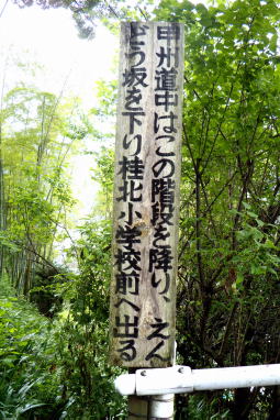 えんどう坂2
