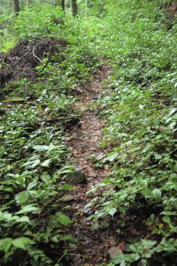登り道