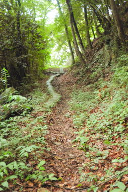 登り道