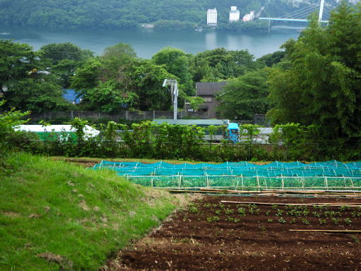 相模湖