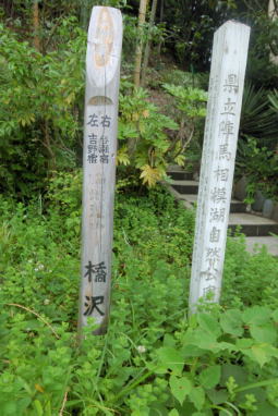 甲州道中　橋沢