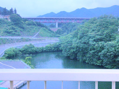 沢井川