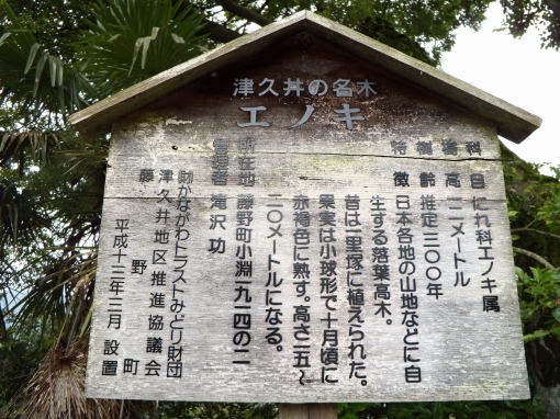 表示板