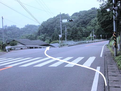 横断歩道