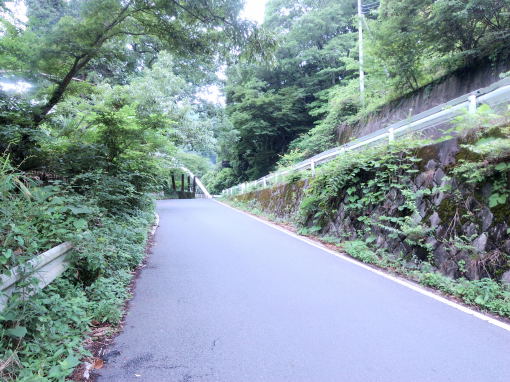是より甲斐の国