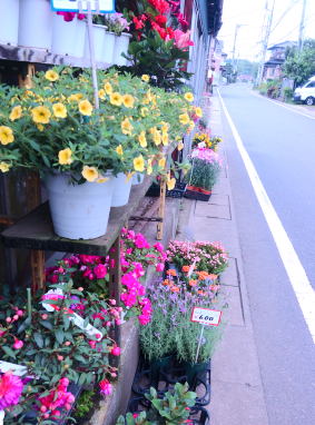 花屋さん