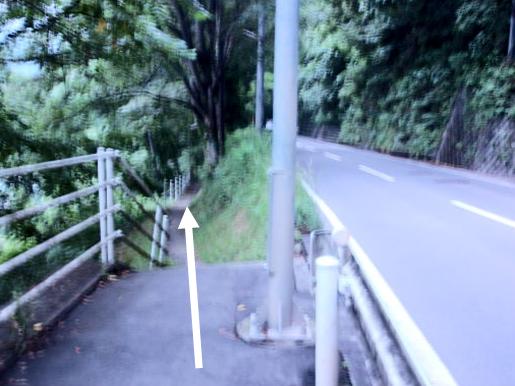 歩道を進む