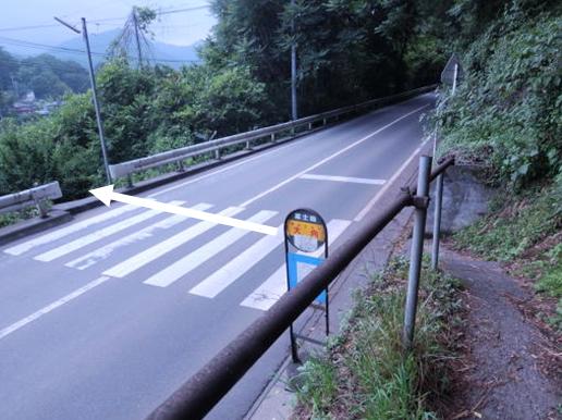 横断歩道を横断