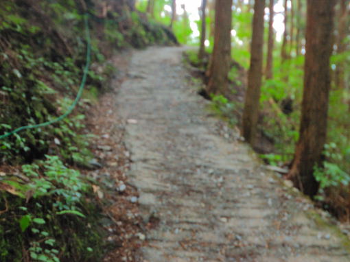 コンクリート道路